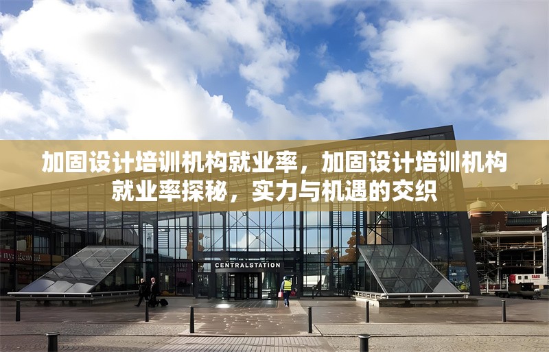 加固設計培訓機構就業率，加固設計培訓機構就業率探秘，實力與機遇的交織