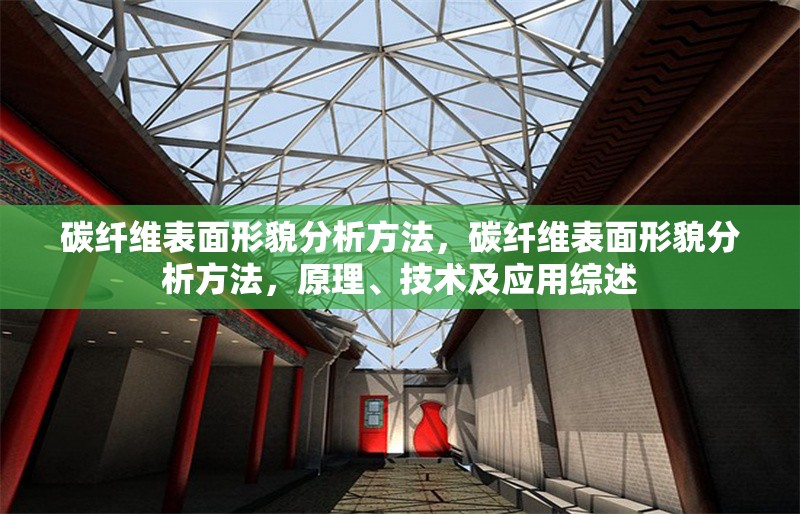 碳纖維表面形貌分析方法，碳纖維表面形貌分析方法，原理、技術及應用綜述