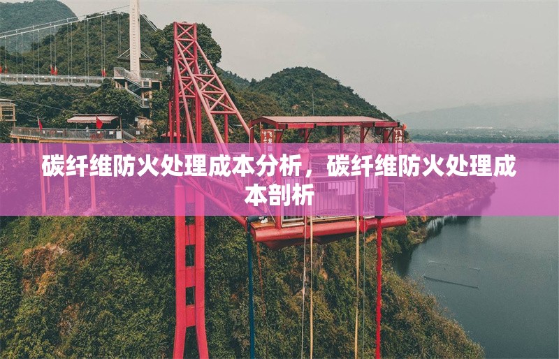 碳纖維防火處理成本分析，碳纖維防火處理成本剖析