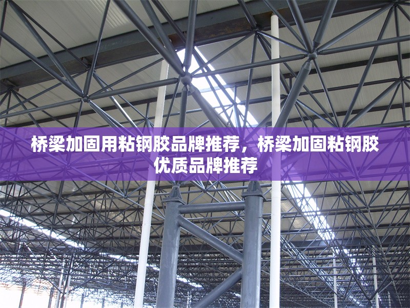 橋梁加固用粘鋼膠品牌推薦，橋梁加固粘鋼膠優質品牌推薦 行業新聞 第6張