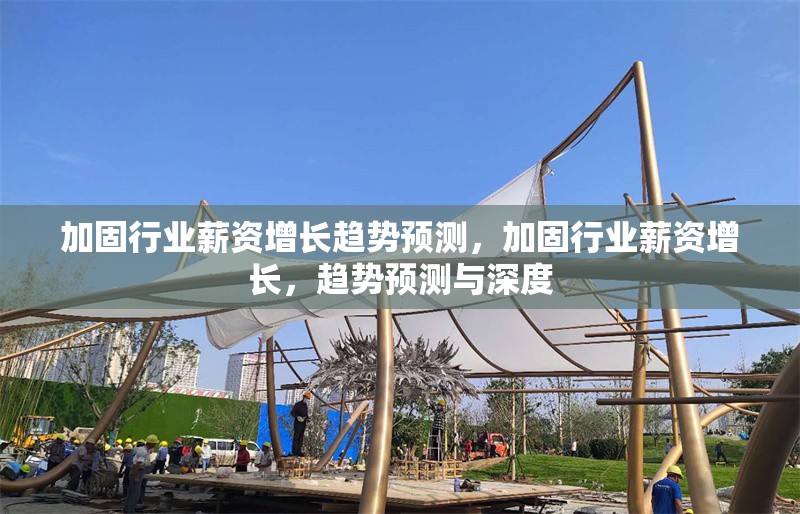 加固行業薪資增長趨勢預測，加固行業薪資增長，趨勢預測與深度