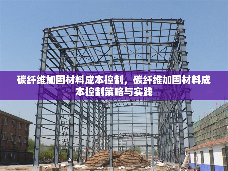 碳纖維加固材料成本控制，碳纖維加固材料成本控制策略與實踐 行業新聞 第1張