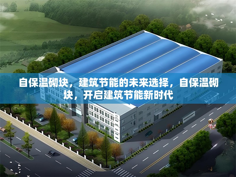 自保溫砌塊，建筑節能的未來選擇，自保溫砌塊，開啟建筑節能新時代