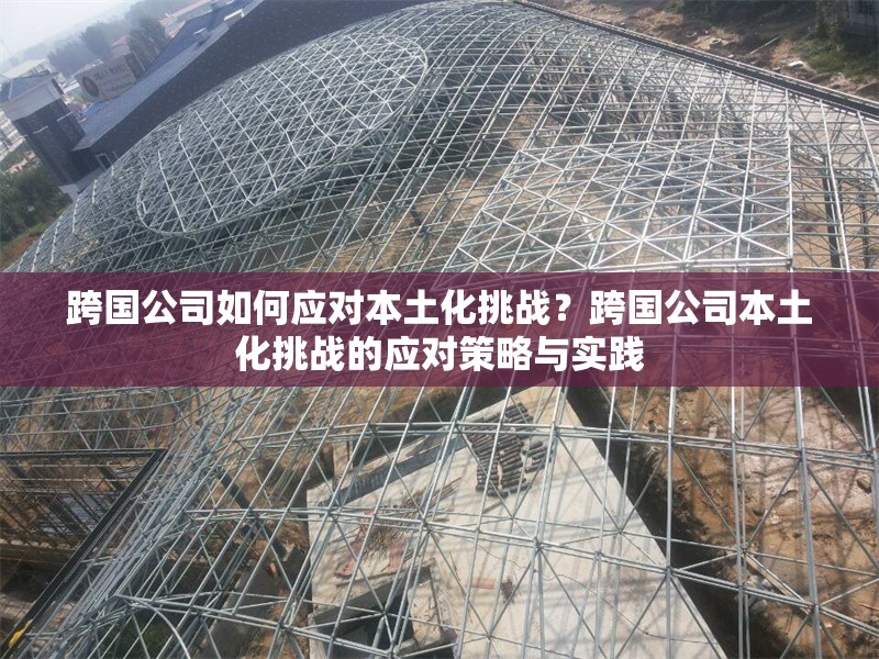 跨國公司如何應對本土化挑戰？跨國公司本土化挑戰的應對策略與實踐 行業新聞 第1張