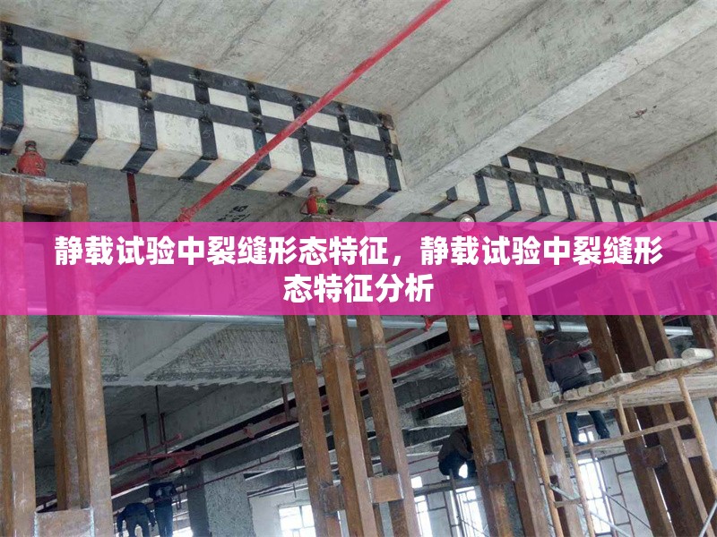 靜載試驗中裂縫形態特征，靜載試驗中裂縫形態特征分析 行業新聞 第1張