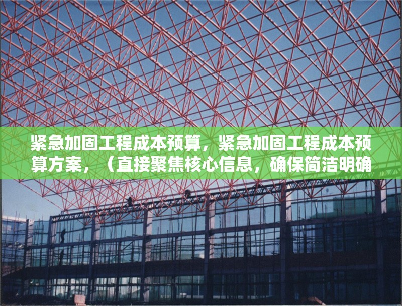 緊急加固工程成本預算，緊急加固工程成本預算方案，（直接聚焦核心信息，確保簡潔明確）