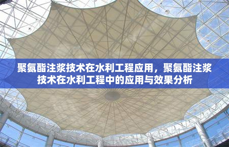 聚氨酯注漿技術(shù)在水利工程應(yīng)用，聚氨酯注漿技術(shù)在水利工程中的應(yīng)用與效果分析 行業(yè)新聞
