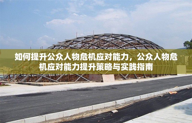 如何提升公眾人物危機應對能力，公眾人物危機應對能力提升策略與實踐指南 行業新聞 第1張
