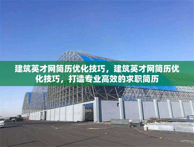 建筑英才網簡歷優(yōu)化技巧，建筑英才網簡歷優(yōu)化技巧，打造專業(yè)高效的求職簡歷
