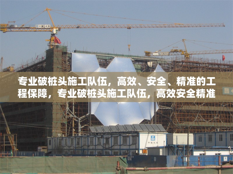 專業破樁頭施工隊伍，高效、安全、精準的工程保障，專業破樁頭施工隊伍，高效安全精準的工程保障專家