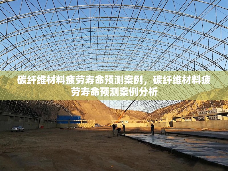 碳纖維材料疲勞壽命預測案例，碳纖維材料疲勞壽命預測案例分析