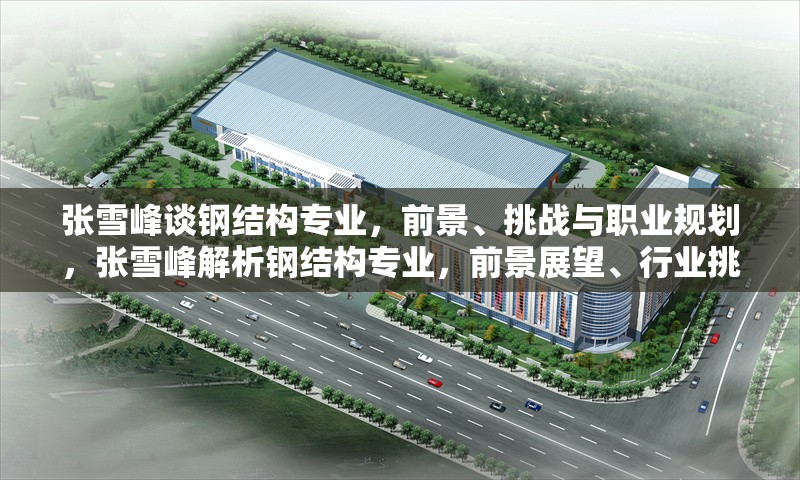 張雪峰談鋼結構專業，前景、挑戰與職業規劃，張雪峰解析鋼結構專業，前景展望、行業挑戰與職業發展路徑