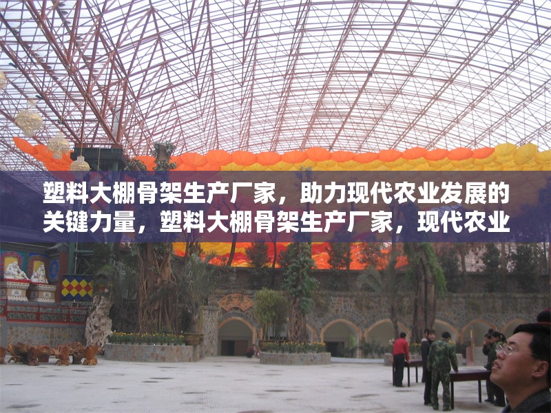 塑料大棚骨架生產廠家，助力現代農業發展的關鍵力量，塑料大棚骨架生產廠家，現代農業發展的核心支撐