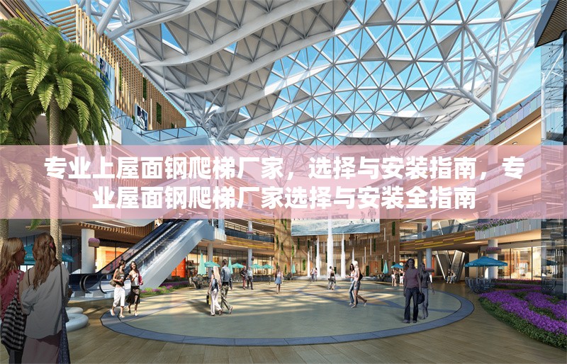 專業(yè)上屋面鋼爬梯廠家，選擇與安裝指南，專業(yè)屋面鋼爬梯廠家選擇與安裝全指南