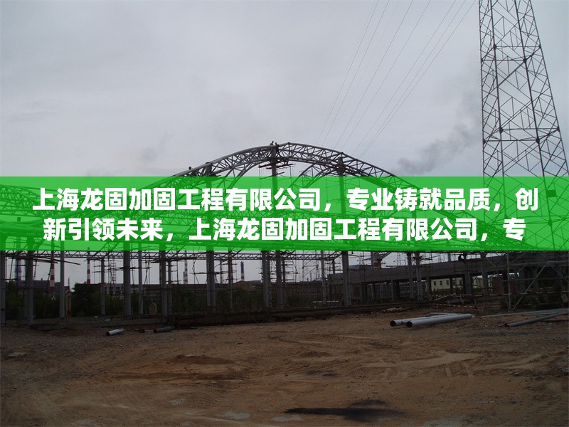 上海龍固加固工程有限公司，專業鑄就品質，創新引領未來，上海龍固加固工程有限公司，專業鑄就品質，創新引領未來