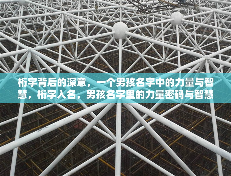 桁字背后的深意，一個男孩名字中的力量與智慧，桁字入名，男孩名字里的力量密碼與智慧圖騰