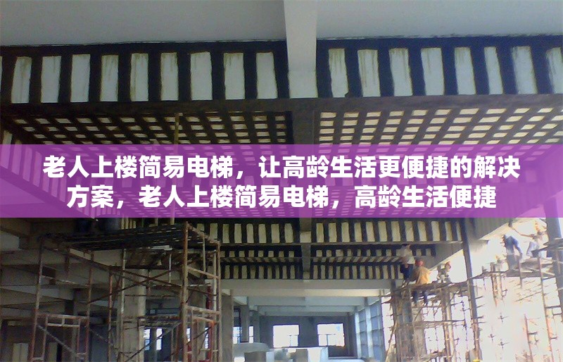 老人上樓簡易電梯，讓高齡生活更便捷的解決方案，老人上樓簡易電梯，高齡生活便捷
