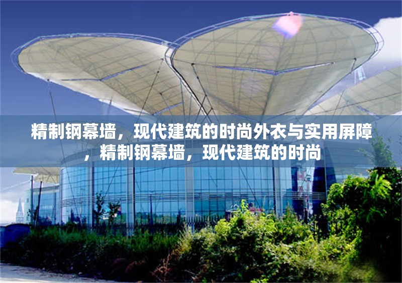 精制鋼幕墻，現代建筑的時尚外衣與實用屏障，精制鋼幕墻，現代建筑的時尚 行業新聞