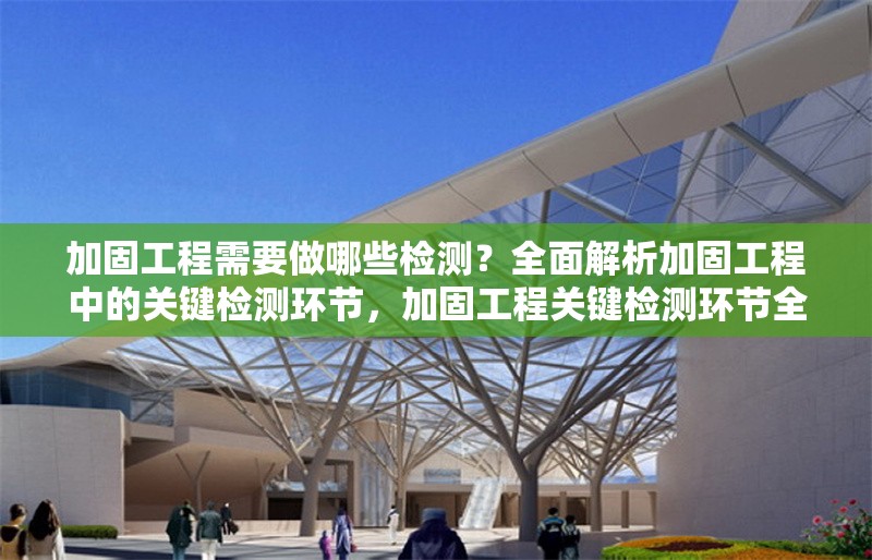 加固工程需要做哪些檢測？全面解析加固工程中的關鍵檢測環節，加固工程關鍵檢測環節全解析，必做項目及要點詳解 行業新聞