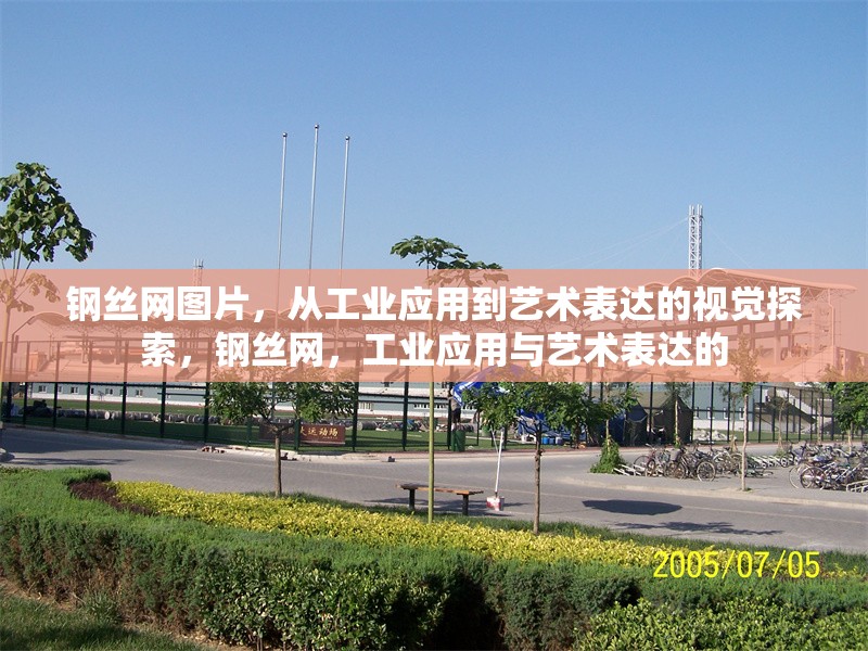 鋼絲網(wǎng)圖片，從工業(yè)應(yīng)用到藝術(shù)表達(dá)的視覺探索，鋼絲網(wǎng)，工業(yè)應(yīng)用與藝術(shù)表達(dá)的