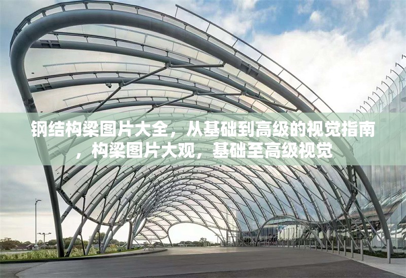 鋼結(jié)構(gòu)梁圖片大全，從基礎(chǔ)到高級(jí)的視覺指南，構(gòu)梁圖片大觀，基礎(chǔ)至高級(jí)視覺 行業(yè)新聞