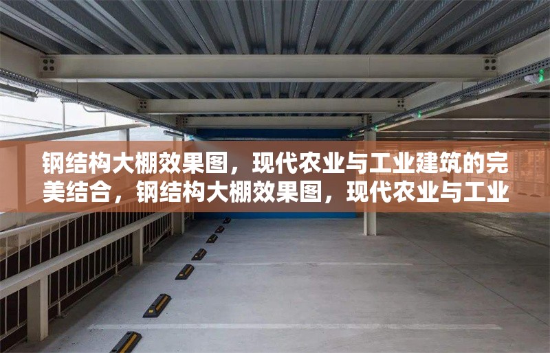 鋼結(jié)構(gòu)大棚效果圖，現(xiàn)代農(nóng)業(yè)與工業(yè)建筑的完美結(jié)合，鋼結(jié)構(gòu)大棚效果圖，現(xiàn)代農(nóng)業(yè)與工業(yè)建筑的