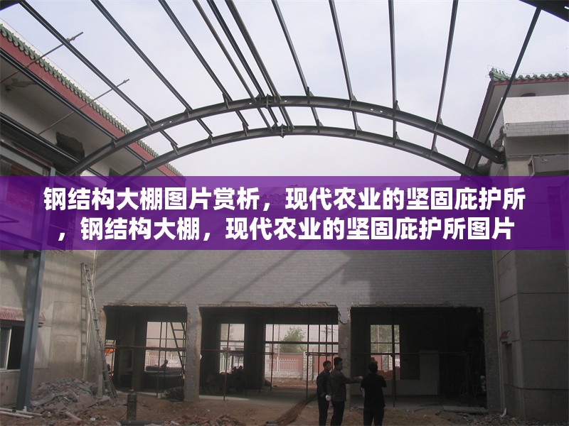 鋼結(jié)構(gòu)大棚圖片賞析，現(xiàn)代農(nóng)業(yè)的堅固庇護所，鋼結(jié)構(gòu)大棚，現(xiàn)代農(nóng)業(yè)的堅固庇護所圖片 行業(yè)新聞
