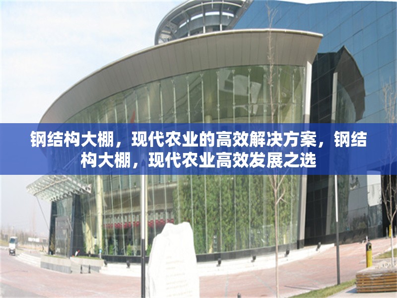 鋼結(jié)構(gòu)大棚，現(xiàn)代農(nóng)業(yè)的高效解決方案，鋼結(jié)構(gòu)大棚，現(xiàn)代農(nóng)業(yè)高效發(fā)展之選 行業(yè)新聞