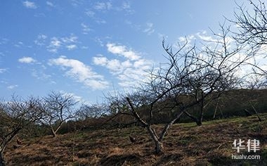 土地使用權攤銷稅務處理指南,土地使用權攤銷稅務處理全攻略,政策解讀與實操要點 行業新聞 第2張 土地使用權攤銷稅務處理指南,土地使用權攤銷稅務處理全攻略,政策解讀與實操要點 行業新聞 第2張