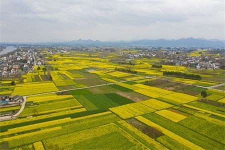 建筑加固技術的國際對比，建筑加固技術，國際差異與比較 行業新聞 第1張