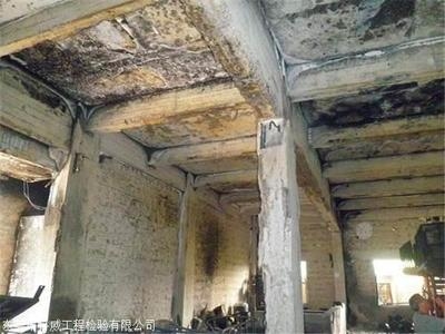 加固公司服務質量評價,加固公司服務質量深度剖析與綜合評價 行業新聞 第4張 加固公司服務質量評價,加固公司服務質量深度剖析與綜合評價 行業新聞 第4張