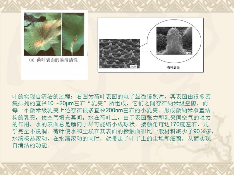 納米材料加固技術原理,納米材料加固技術,微觀原理與作用 行業新聞 第1張 納米材料加固技術原理,納米材料加固技術,微觀原理與作用 行業新聞 第1張