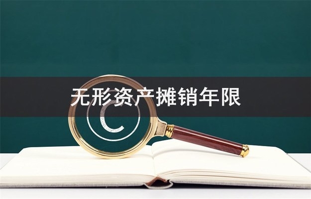 稅法下攤銷年限的案例分析，稅法攤銷年限案例剖析，規(guī)則應(yīng)用 行業(yè)新聞 第2張