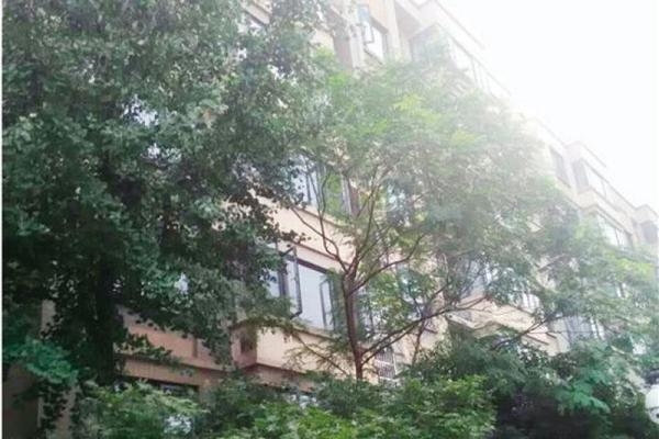 綠化設(shè)計對采光的影響,綠化設(shè)計對建筑采光的影響分析 行業(yè)新聞 第2張 綠化設(shè)計對采光的影響,綠化設(shè)計對建筑采光的影響分析 行業(yè)新聞 第2張