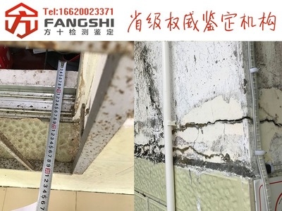 如何判斷建筑裂縫是否嚴重?建筑裂縫嚴重性判斷指南,關鍵方法與注意事項 行業新聞 第3張 如何判斷建筑裂縫是否嚴重?建筑裂縫嚴重性判斷指南,關鍵方法與注意事項 行業新聞 第3張