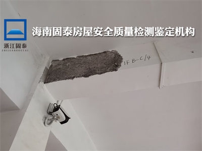 梁加固材料選擇指南,梁加固材料選擇指南,高效方案與實用建議 行業新聞 第6張 梁加固材料選擇指南,梁加固材料選擇指南,高效方案與實用建議 行業新聞 第6張