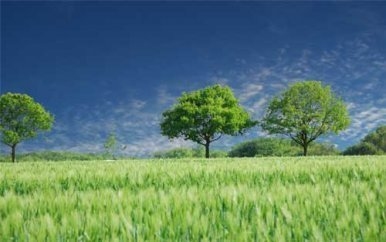 設計公司員工培訓的有效方法有哪些?提升設計公司員工技能的10種高效培訓方法 行業新聞 第2張 設計公司員工培訓的有效方法有哪些?提升設計公司員工技能的10種高效培訓方法 行業新聞 第2張