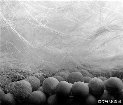 碳纖維材料在極寒環境中的性能,碳纖維材料在極寒環境中的性能表現研究 行業新聞 第5張 碳纖維材料在極寒環境中的性能,碳纖維材料在極寒環境中的性能表現研究 行業新聞 第5張