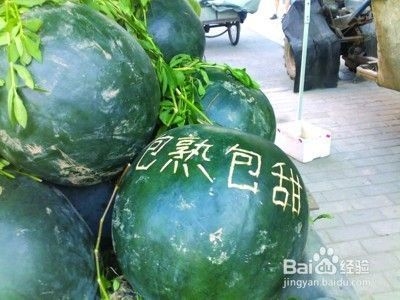 建筑英才網(wǎng)簡(jiǎn)歷優(yōu)化技巧，建筑英才網(wǎng)簡(jiǎn)歷優(yōu)化技巧，打造專業(yè)高效的求職簡(jiǎn)歷 行業(yè)新聞 第2張