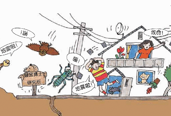 地震多發(fā)區(qū)農(nóng)居安全措施，地震多發(fā)區(qū)農(nóng)居安全措施，筑牢農(nóng)村抗震防護(hù)墻 行業(yè)新聞 第4張