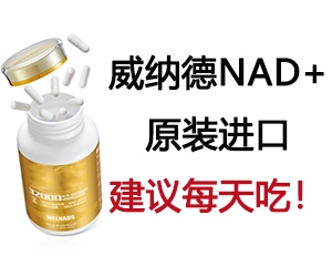 包鋼無縫鋼管產品高端化案例,包鋼無縫鋼管,邁向高端化的卓越征程,包鋼無縫鋼管產品高端化,破局與蝶變之路,包鋼無縫鋼管的高端化進階傳奇,探秘包鋼無縫鋼管產品高端化的成功密碼 行業新聞 第6張 包鋼無縫鋼管產品高端化案例,包鋼無縫鋼管,邁向高端化的卓越征程,包鋼無縫鋼管產品高端化,破局與蝶變之路,包鋼無縫鋼管的高端化進階傳奇,探秘包鋼無縫鋼管產品高端化的成功密碼 行業新聞 第6張