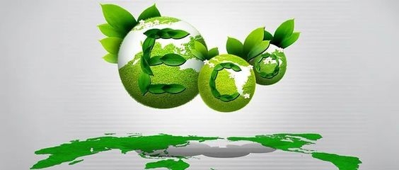 關于商場改造的通知,關于商場改造事宜的通知 行業新聞 第4張 關于商場改造的通知,關于商場改造事宜的通知 行業新聞 第4張