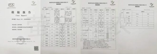 加固結構檢查報告樣本,加固結構檢查報告樣本,內容、格式與要點全解析 行業新聞 第5張 加固結構檢查報告樣本,加固結構檢查報告樣本,內容、格式與要點全解析 行業新聞 第5張