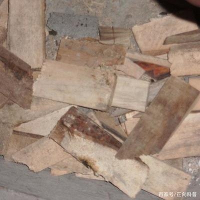 建筑加固材料成本控制策略 行業(yè)新聞 第3張 建筑加固材料成本控制策略 行業(yè)新聞 第3張